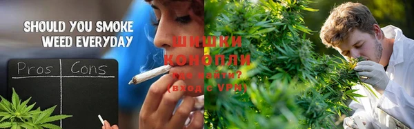 шишки Алексин