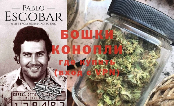 шишки Алексин