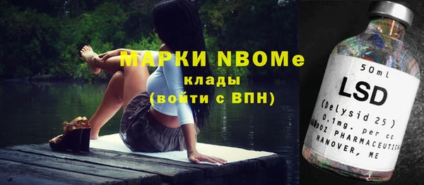 шишки Алексин