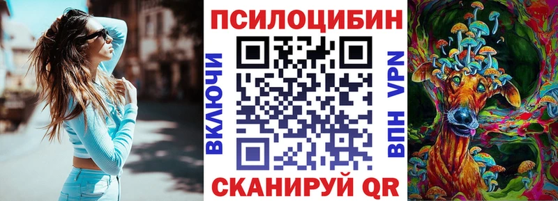 Купить закладки Сретенск Галлюциногенные грибы прущие грибы